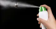 Two-Ingredient Spray to Banish Flies from Your Kitchen