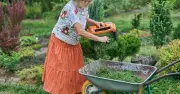 Two September lawn jobs to keep grass healthy through winter