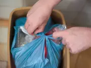 Two Store Cupboard Spices That Deter Flies and Maggots in Wheelie Bins