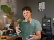 Tyneside musician's plushie subwoofer raises £30k for deaf community