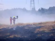 UK bans disposable barbecues as wildfires sweep country