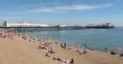 UK Beach Dog Ban: £1,000 Fine Risk on 600 Beaches