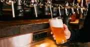 UK beer industry under threat as extreme weather hits barley yields