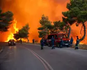 UK breathes wildfire smoke from global blazes, study finds
