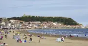 UK Dog Owners Warned of Beach Ban Fines Up to £1,000