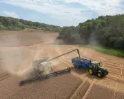 UK faces food shortages amid drought and heatwaves, NFU warns