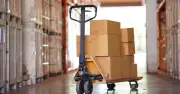 UK freight firm shut down with over £680,000 unpaid debts