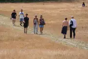 UK heat to spike to 36C as dry weather persists, forecasters warn