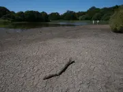 UK Heatwave 2026 vs 1976: Temperatures, Droughts, Hosepipe Bans Compared