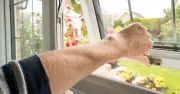 UK households urged to close doors and windows on Thursday