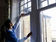 UK households urged to shut windows from 7pm as spider season peaks