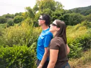 UK Partial Solar Eclipse August 12 2026: Animals and Safety