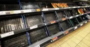UK potato shortage warning as drought hits crops
