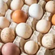 UK salmonella cases near 500 as two new clusters found