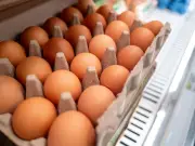 UK salmonella outbreak linked to imported eggs rises to 259 cases