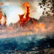UK to issue new guidance on preparing for extreme weather and attacks