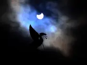 UK to see most dramatic partial solar eclipse in decades today