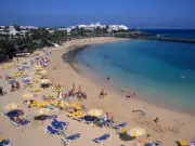 UK Tourists Warned Over Venomous Man o' War in Canary Islands