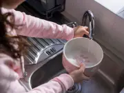 UK urged to leave water out for wildlife in heatwave