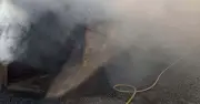 UK Zoo Closes After Fire Kills Three Pets