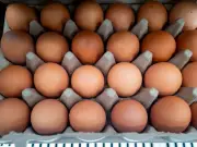 UKHSA Warns of Salmonella in Imported Eggs as 259 Cases Reported
