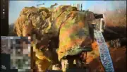 Ukraine's robot drones save soldiers as AI warfare nears