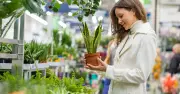 UK's 16 best garden centres crowned at 2025 GCA awards