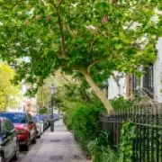 UK's longest-living areas revealed: wealth and green spaces key