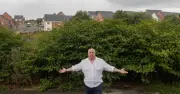 UK's Worst Japanese Knotweed Invasion in Blackburn and Darwen