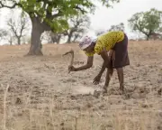 UN COP17 Desertification Summit Opens in Mongolia