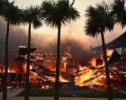 US senators urge crackdown on wildfire betting amid arson risk