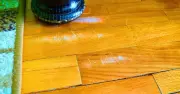 Use a Walnut to Remove Scratches from Wooden Floors, Expert Says