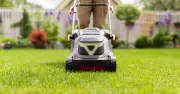 Use Epsom Salt on Lawns for Greener, Thicker Grass