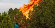 Utah Helicopter Crash: Chopper Battling Wildfire Plunges