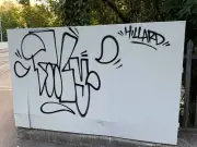 Vandals Graffiti Freshly-Painted Railway Bridge in Pontypool