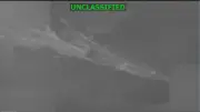 Vessel strike in eastern Pacific kills endangered whale