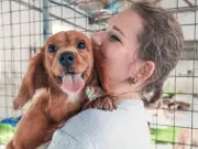 Vet's 4 essential checks before getting a dog