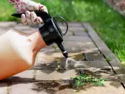 Vodka Weed Killer: Kitchen Hack for Garden Weeds