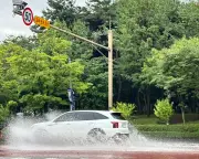 Warm Yellow Sea Fuels Storms in South Korea