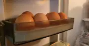 Warning: Don't Cook Eggs Straight from the Fridge
