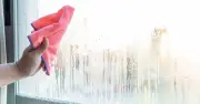 Washing-up liquid trick stops bathroom window mould
