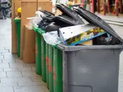 Waste expert: banana peels are last thing to throw in bin