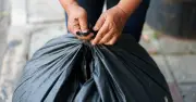 Waste expert: Never throw banana peels in general bin
