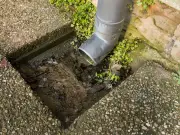 Welsh households told to pour washing up liquid down drains this week