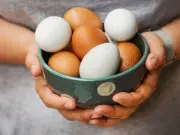 Welsh Households Urged to Check Eggs for Bird Flu Safety