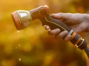 Wessex Water announces hosepipe ban for first time in 50 years