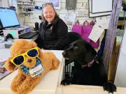 West Lothian vets' delight at Pet Trail initiative