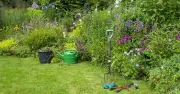 Wetting agent can revive brown lawns amid UK hosepipe ban
