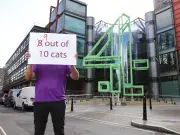 WHISKAS urges Channel 4 to rename 8 Out of 10 Cats show