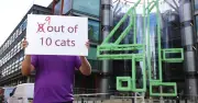 Whiskas urges Channel 4 to rename 8 Out of 10 Cats to 9 Out of 10